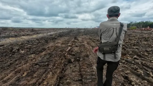 Wanam land clearing shown in Pusaka’s chronology. Exact photograph date not supplied.