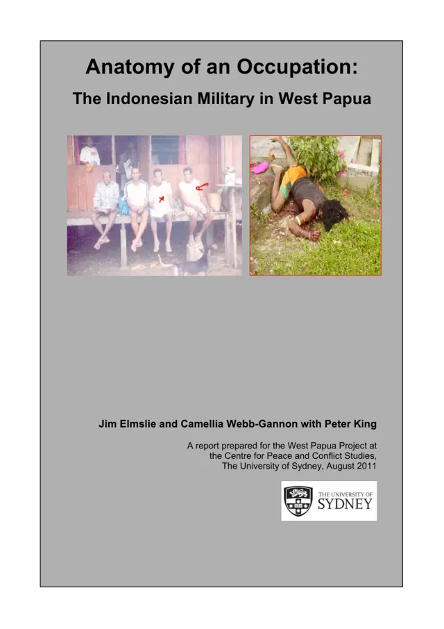 The 2011 report analysing leaked military documents on armed groups and civilian political networks.